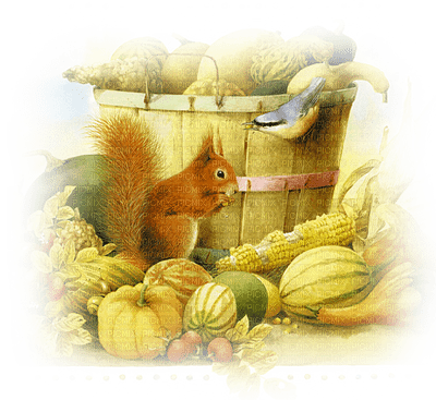 Kaz_Creations Deco Autumn Squirrel - bezmaksas png