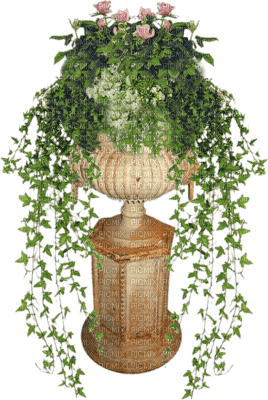 Tube Plante Verte - ücretsiz png