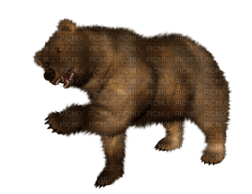 Kaz_Creations Bear - nemokama png