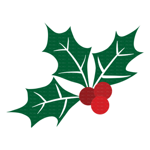 Mistletoe  Bb2 - png gratis