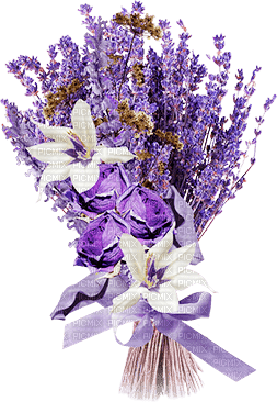 soave deco laventer flowers branch  purple   white - bezmaksas png
