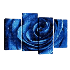 Slat rose bleue - bezmaksas png