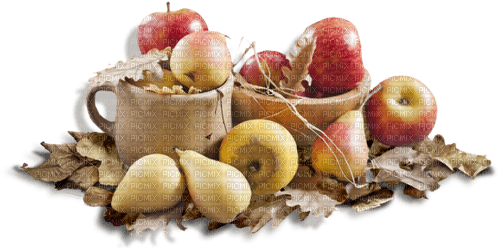 apple apfel pomme autumn - zadarmo png