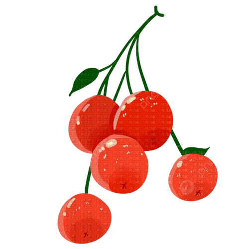 hawthorn berries Bb2 - png gratis
