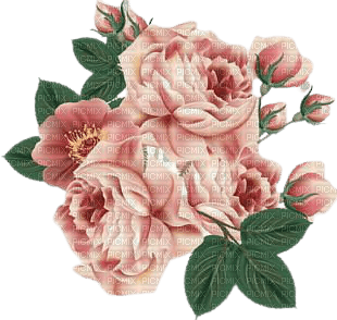 vintage roses - png grátis