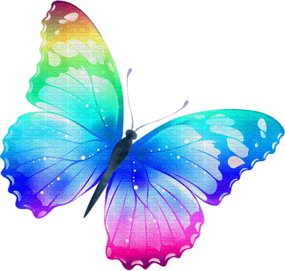 patymirabelle papillon - бесплатно png