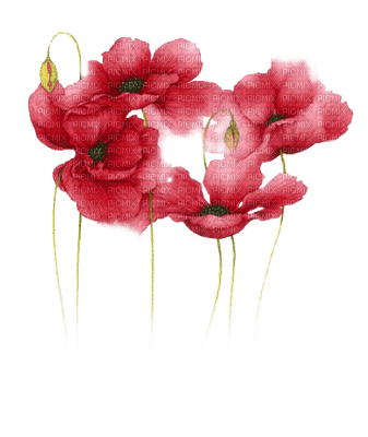 flowers anastasia - png gratis