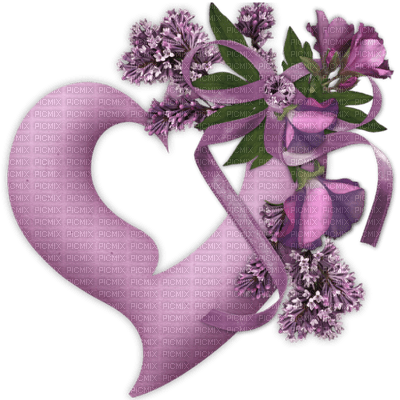 violeta - 免费PNG
