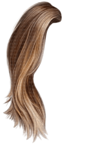 cheveux chatain G - PNG gratuit