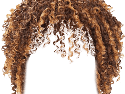 hair, wig bp - δωρεάν png