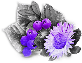 soave deco autumn flowers sunflowers branch - PNG gratuit