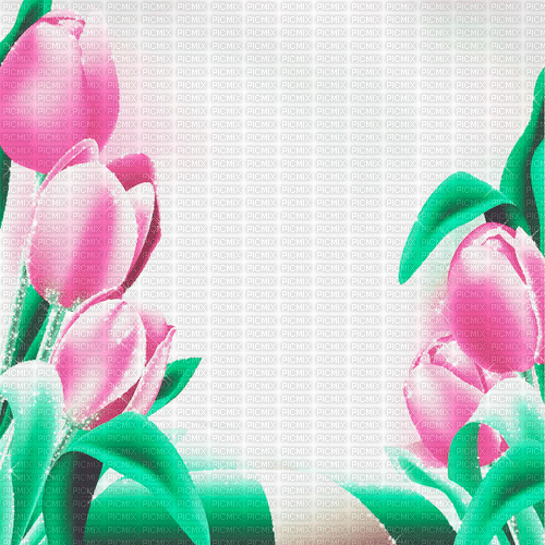 green pink tulpen milla1959 - Δωρεάν κινούμενο GIF