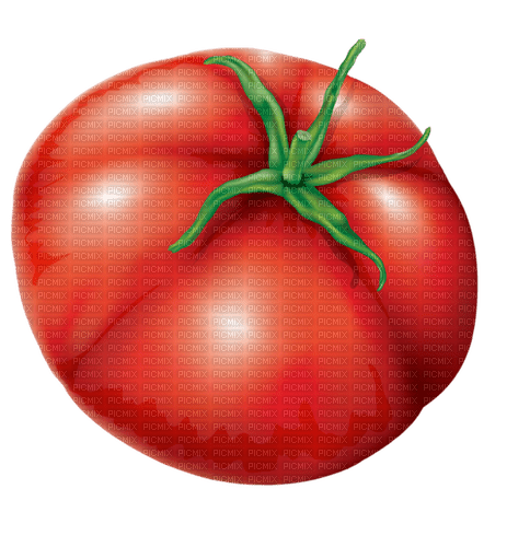 tomato Bb2 - gratis png