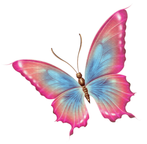 butterfly  by nataliplus - png gratis