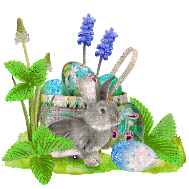 easter bunny - Gratis animerad GIF