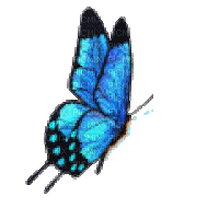 метелик - GIF animado grátis