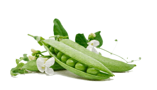 Légumes - PNG gratuit