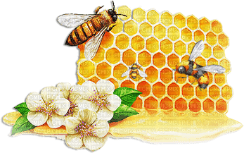 soave bee honey deco scrap - 免费PNG