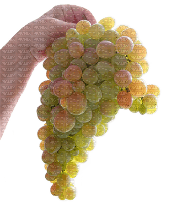 grapes bp - darmowe png