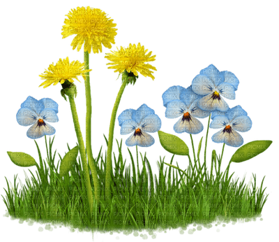 Kaz_Creations Deco Grass Garden Flowers - png ฟรี