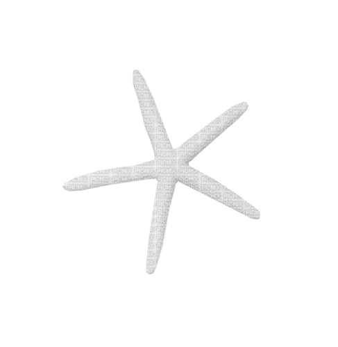 dolceluna starfish - zdarma png