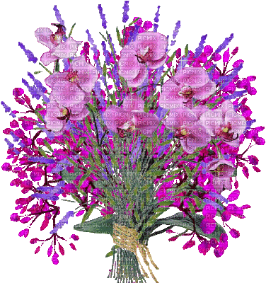 Flowers dm19 - GIF animasi gratis