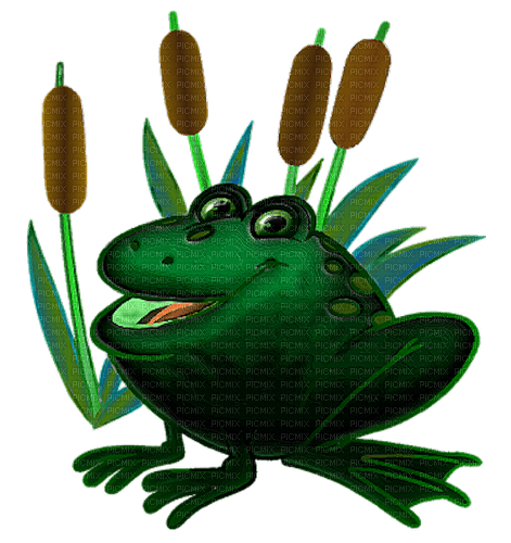 grenouille - nemokama png
