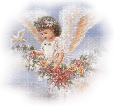 Kaz_Creations Baby Enfant Child Girl  Angel - png gratuito