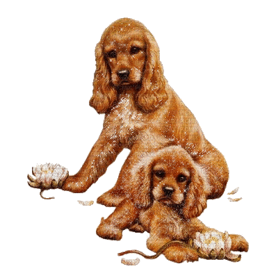 chien dogs gif - 無料のアニメーション GIF