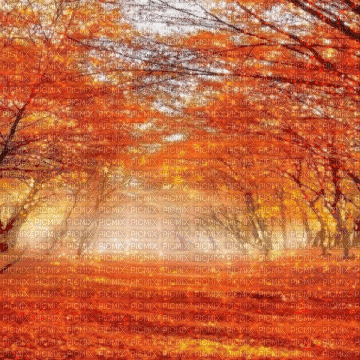 fall background - Zdarma animovaný GIF