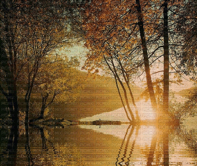 fond gif autumn automne - Besplatni animirani GIF
