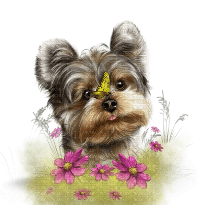 dog chien hund flower fleur  spring printemps  deco  fun  summer ete  tube  sommer animal garden jardin garten - ilmainen png