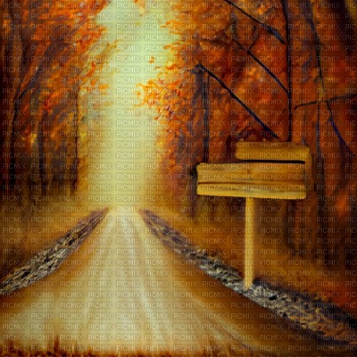 Autumn Forest Path with Wooden Signpost - 無料png