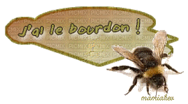 j'ai le bourdon - Δωρεάν κινούμενο GIF