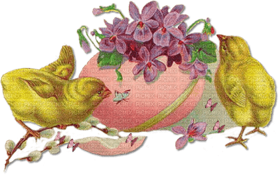 soave deco easter  chick   pink purple yellow - Free PNG
