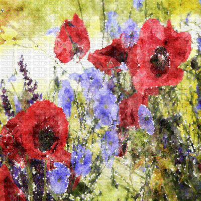 kikkapink background spring field flowers - Безплатен анимиран GIF