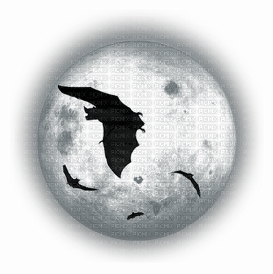 bat moon - PNG gratuit