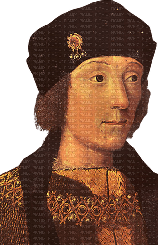 Henry VII, King of England - gratis png