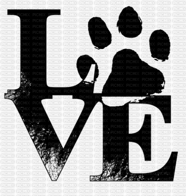 love paws - PNG gratuit