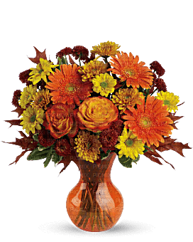 Kaz_Creations  Flowers Vase Plant - PNG gratuit