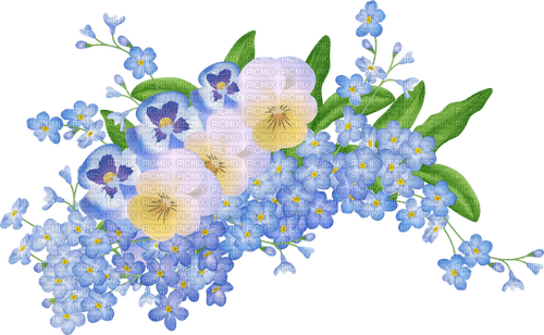forget me not Bb2 - 免费PNG
