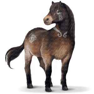 Kaz_Creations Horse Pony - PNG gratuit