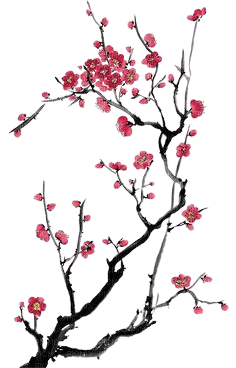 fleurs  cerisier - kostenlos png