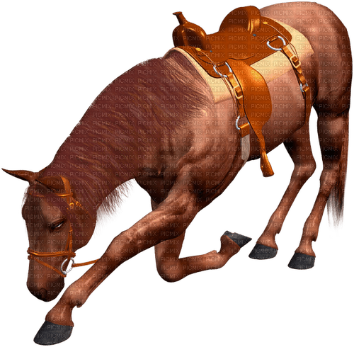 Horse, Adam64 - nemokama png