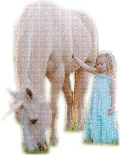 loly33 enfant cheval - Free PNG