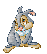 rabbit - GIF animasi gratis