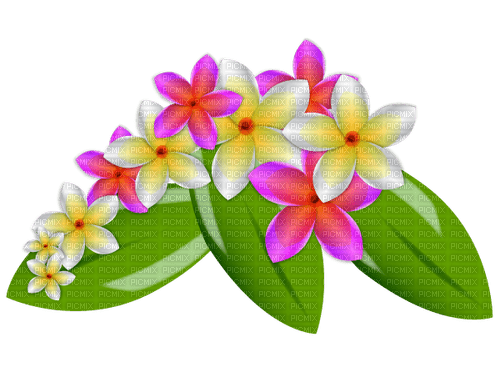 Frangipani Flower - PNG gratuit