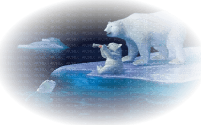 Kaz_Creations Deco Animals Animal Polar Bears Paysage Scenery - bezmaksas png