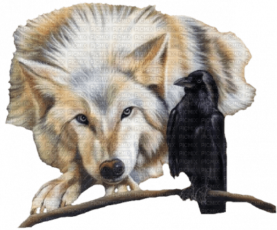 loup et corbeau - δωρεάν png