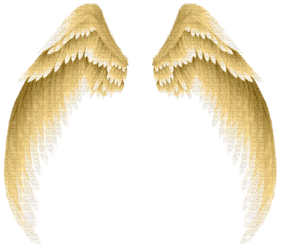 golden wings 4 Nitsa - gratis png